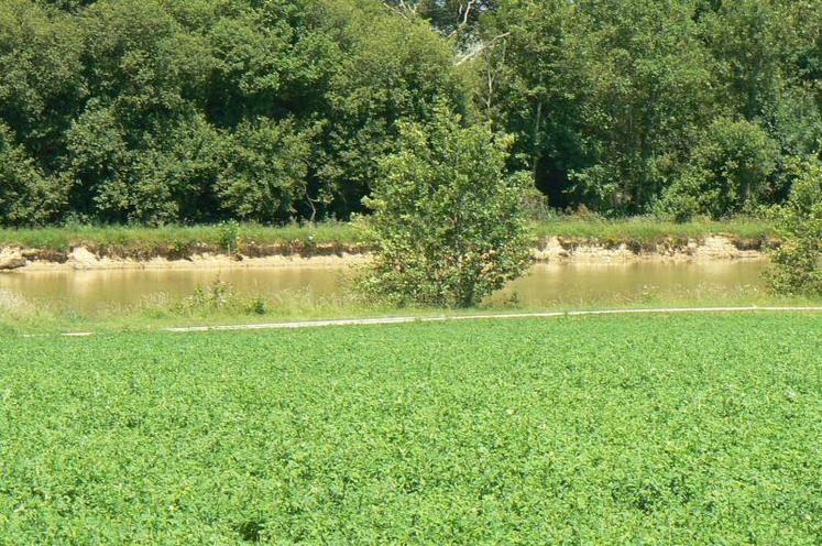 Un travail de cartographie des cours d'eau est actuellement en cours sur le département du Maine-et-Loire.