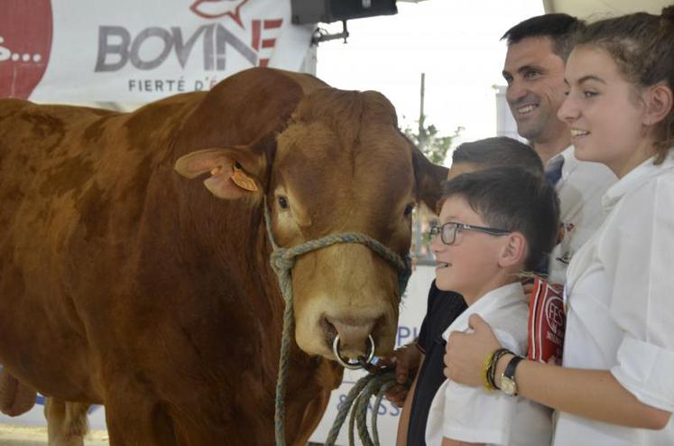 Palmarès des moutons rouge de l'Ouest (prix spéciaux)