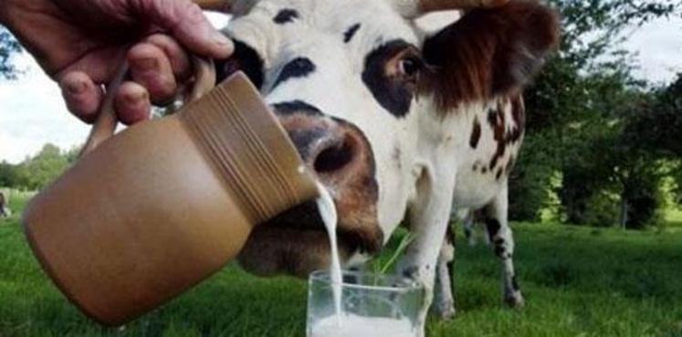 Un accord, garantissant un prix minimum du lait à 340 € la tonne, a été trouvé.