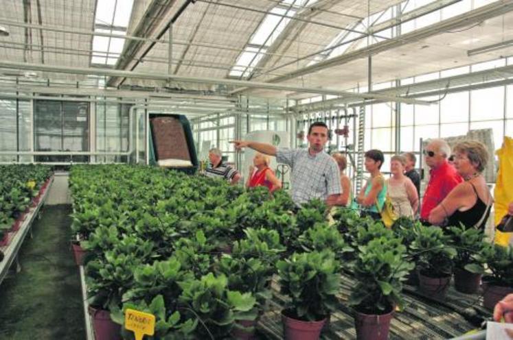 Chaque année le public découvre le travail des profesionnels du végétal, comme ici chez Gaignard fleurs aux Ponts-de-Cé.