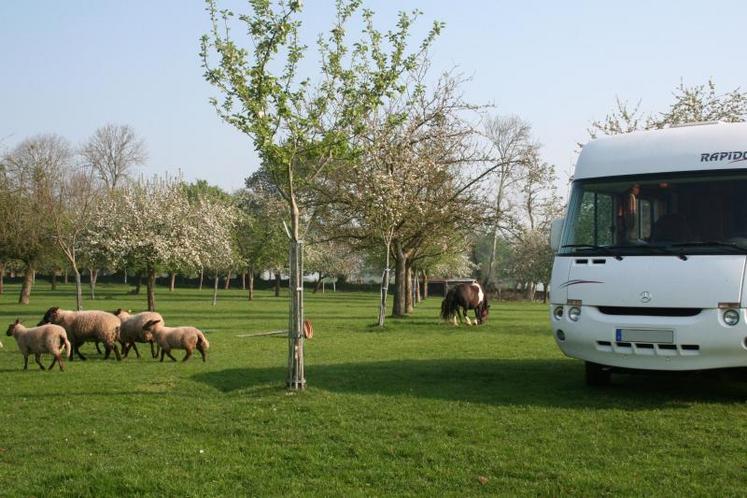 Renouer avec la nature, tel est le but des voyageurs en camping-car privilégiant l’accueil à la ferme.