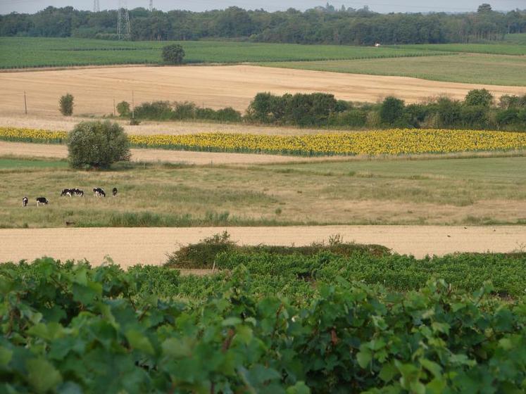 Le recensement agricole permet d'avoir une cartographie précise du département et de ses filières. Indispensable pour l'évaluation des politiques publiques, il a débuté le 1er octobre.