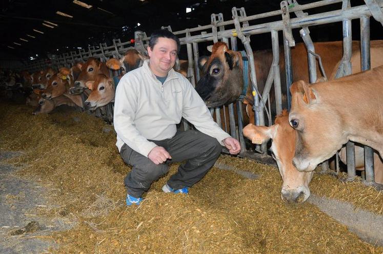 Sébastien Ferrard s’occupe, au quotidien, sur son exploitation de l’alimentation des jersiaises.