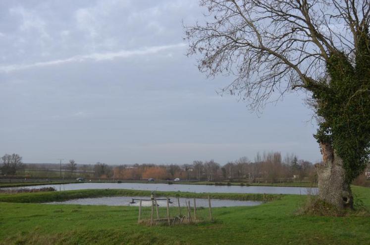Irrigants de France réclame notamment une sécurisation juridique des dossiers de créations de réserves en eau.