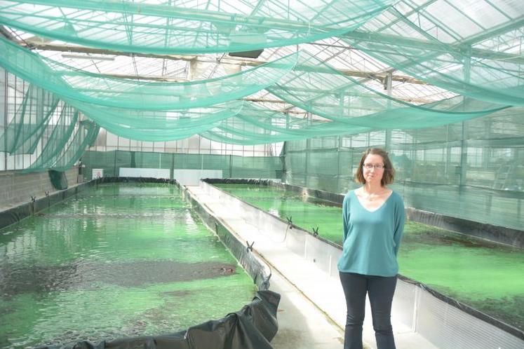 Florence de La Bastille devant ses bassins de productions, lui permettant de sortir 85 kg de spiruline par an.