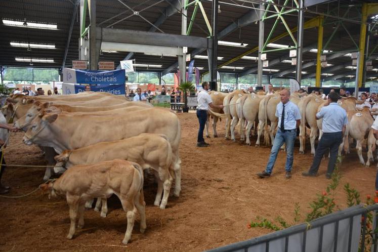 Le juge Peter Thissen (à droite) en plein travail, au moment de remettre le prix d'ensemble de l'inter-régional blonde d'Aquitaine, samedi 22 juin à Cholet.