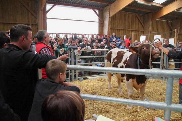 22 reproducteurs rouges des prés ont trouvé preneurs lors de la vente aux enchères biannuelle du Domaine des rues.