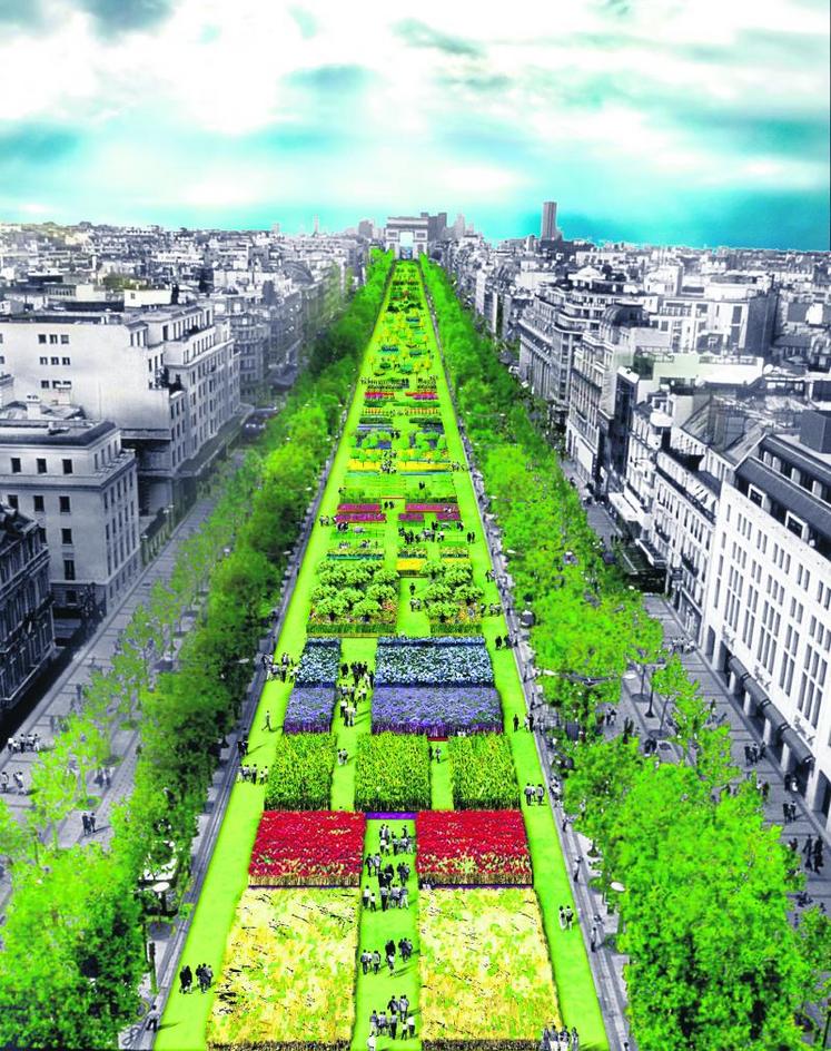 L'opération La Nature capitale occupera 1,2 km sur les Champs Élysées du 22 au 24 mai prochains.