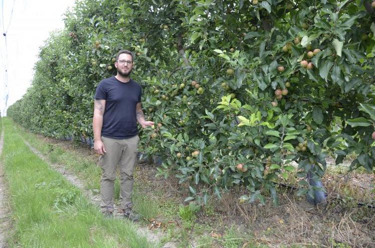 Camille Proust, installé en arboriculture et viticulture depuis le 1er janvier 2019 à Saint-Rémy-la-Varenne.