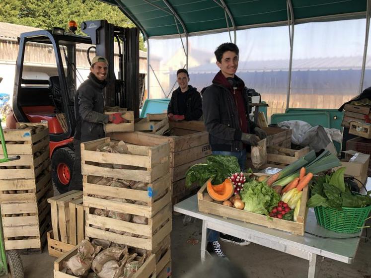 C'est toute l'équipe des Jardins d'Anjou qui a dû apprendre, sur le tas, à confectionner des paniers. Une activité spatiophage, et chronophage, qui a permis de garder la tête hors de l'eau.