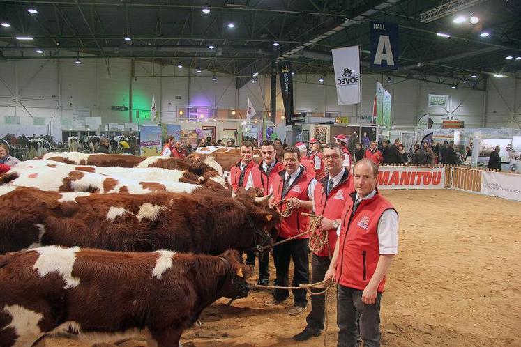 Les élevages angevins ont participé au premier concours national hors berceau.