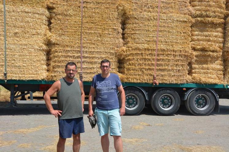 Laurent Moreau (à gauche), éleveur laitier à Mozé-sur-Louet, a été livré de 18 tonnes de paille en provenance du secteur de Chinon. Celle-ci a été acheminée par Yoan Binault, des transports STA à Vihiers (à droite).