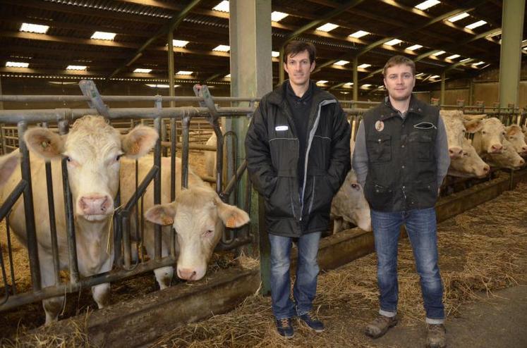 Benoit Caillault et Mickaël Jacquet, associés du Gaec de Prunay, ont ouvert les portes de leur exploitation dans le cadre des Rendez-vous de l’élevage viande.