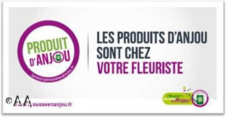 L’estampille 
“Produit d’Anjou”, 
déclinaison du logo du Conseil 
général “l’Avenir pousse en Anjou”, sera visible chez les fleuristes 
partenaires.