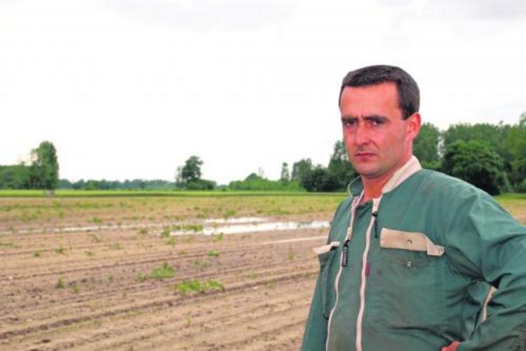 Le secteur de Longué-Jumelles a été particulièrement touché par l’orage du dimanche 1er juin. 
Pour Laurent Raimbault, « les parcelles semées en maïs ou en haricots sont quasiment perdues ».