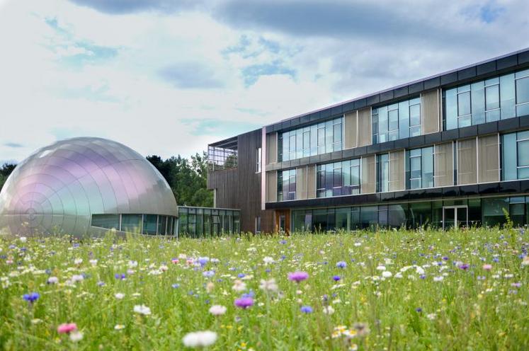 Vue d’ensemble du campus de Cesbron : à droite, le bâtiment à énergie positive du siège social, et à gauche, “l’œuf”, une salle de réunion design.