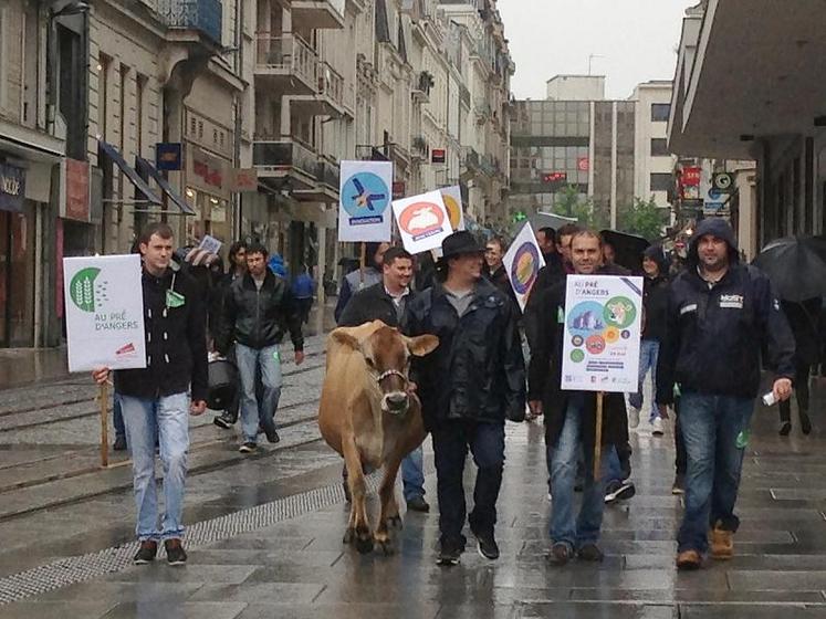 JA49 et leur vache Gadoue en ballade samedi 2 mai dans les rues d'Angers. Ici, rue d'Alsace.