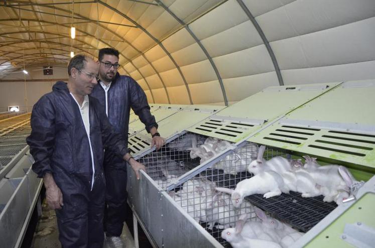 René Bourigault, éleveur Sentinelle de la coopérative Terrena et Henrik Bitot, technicien Terrena lapins, devant les parcs installés en 2017 au Gaec Bourigault. Les animaux disposent d’espace pour se redresser et sauter, et d’un espace “nuit” pour se mettre à l’abri.