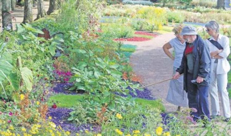 Tel un arc en ciel, les plantes tinctoriales sont présentées sur des lits de copeaux de bois de la couleur que donne la plante en teinture. Ce parterre des plantes tinctoriales est, avec la collection de camomilles, la seule partie du site Camifolia achevée à ce jour.