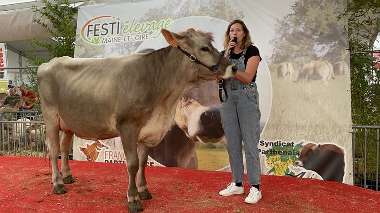 La vache Siella BG a remporté le prix de meilleure mamelle jeune et de championnat jeune. 