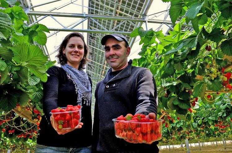 Elle à la commercialisation, lui à la production, Amélie Martin et Régis Guiet sont les cogérants de Ô jardins des délices.