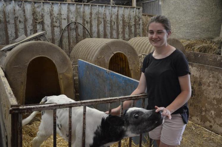 Elodie Vincent participera au concours de présentation en race prim'hosltein, au prochain Festi'élevage.