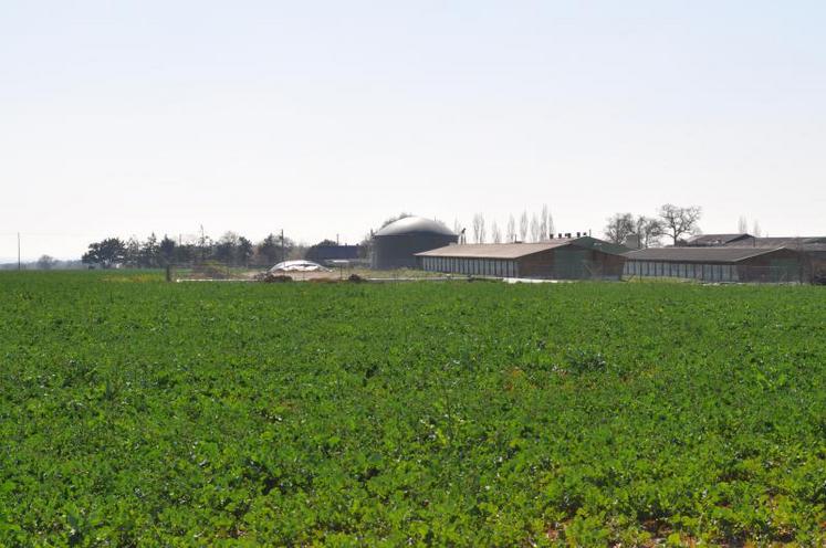 En France, « aujourd'hui, le modèle économique de la méthanisation agricole n'est pas trouvé », a affirmé Frédéric Tuillé, responsable des études chez Observ'Er, lors d'une conférence de presse à Paris, le 10 janvier.