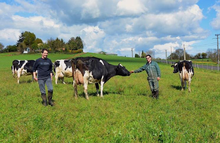 Romain et Florian Vigneron, du Gaec Bords de Moine, à Saint-André-de-la-Marche, espèrent emmener entre autres Emeline (sur la photo) à la Confrontation européenne.