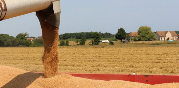 Malgré la hausse des prix des céréales, l’organisation est inquiète et se sent abandonnée par les pouvoir publics.