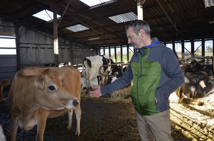 Pascal Gallard dans son élevage laitier.