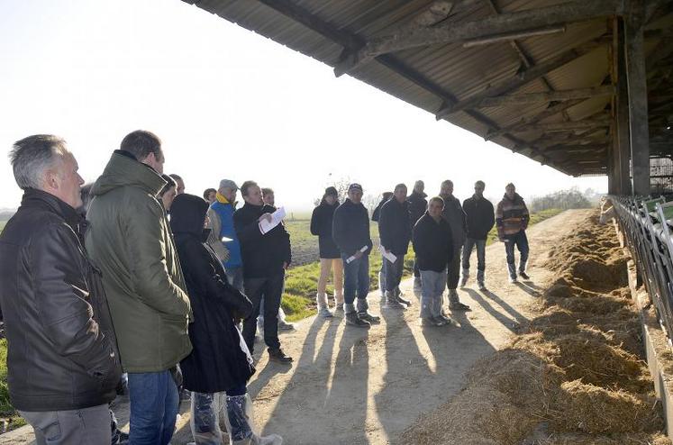 Une visite de l’élevage Gemin-Lemay, à Loiré (49), a eu lieu lors de la réunion des adhérents Bovinéo de Maine-et-Loire, le 26 janvier.