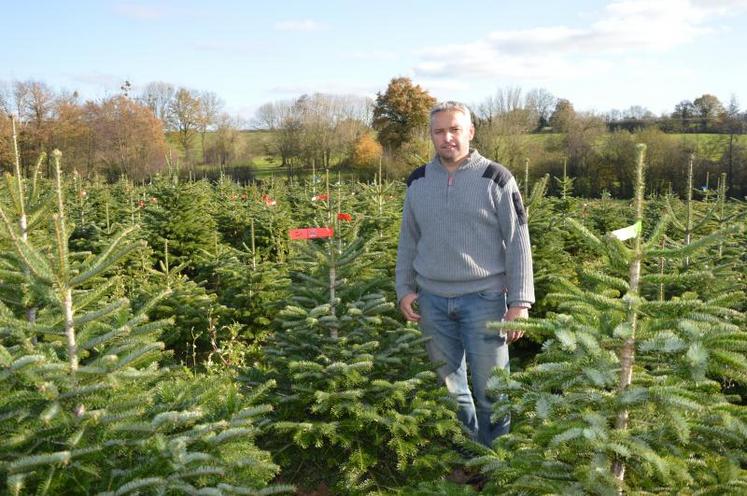 Ludovic Brevet est soulagé depuis l’annonce de l’autorisation de la commercialisation des sapins de Noël. 95 % de son chiffre d’affaires se concentre sur la vente de sapins.