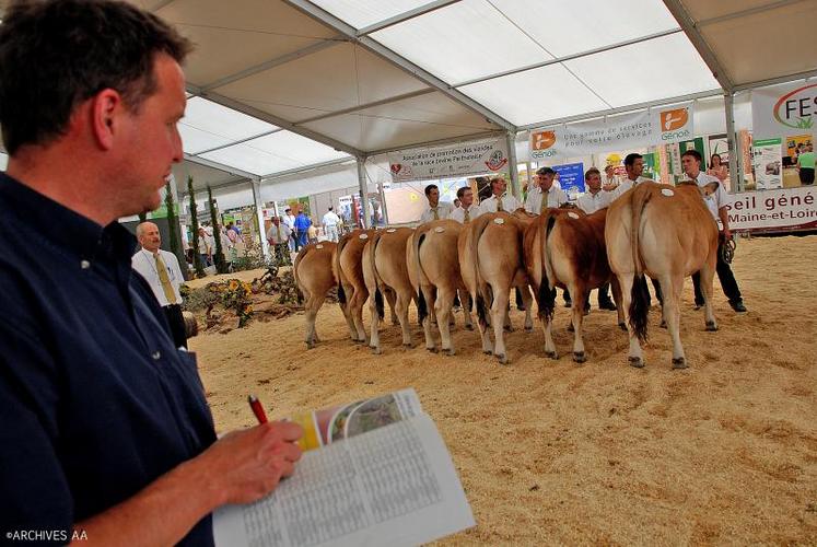 Le National parthenais se tenait pour la première fois à Chemillé au Festival de 2010.