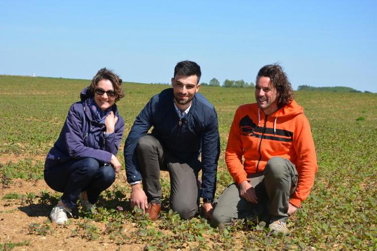 De g. à d. : Maud Abbott, responsable commerciale de Quinoa d’Anjou ; Arthur Nicolas, responsable flière à la CAPL, et Anthony Lascaud, sur une parcelle de quinoa au stade 10-12 feuilles de l’exploitation AgriPep’s, à Meigné-le-Vicomte. 
« J’ai semé plus tard cette année, fin mars, pour permettre aux pousses de quinoa de coloniser le sol plus vite et d’étouffer les adventices », confie l’agriculteur.