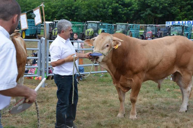 Javanais, du Gaec Rothureau est arrivé premier de la 4e section des mâles espoir.