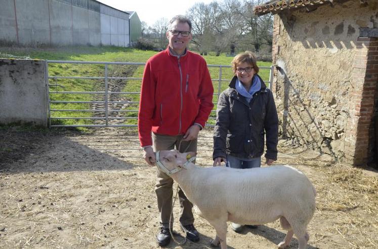 Michel et Denise Cassin, éleveurs-sélectionneurs de brebis rouges de l’Ouest, avec le bélier qu’ils présenteront au Concours général du prochain Salon de l’agriculture.