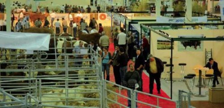 Dans les stalles, des limousines, des charolaises mais aussi plusieurs races en présentation : la hereford, la rouge des prés, la blonde d’Aquitaine.