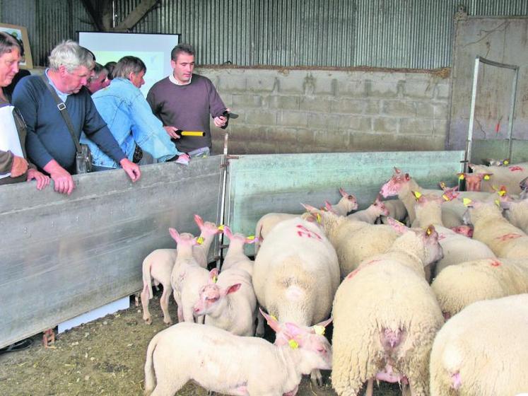 Les éleveurs ont participé à un atelier technique à Saffré (44).