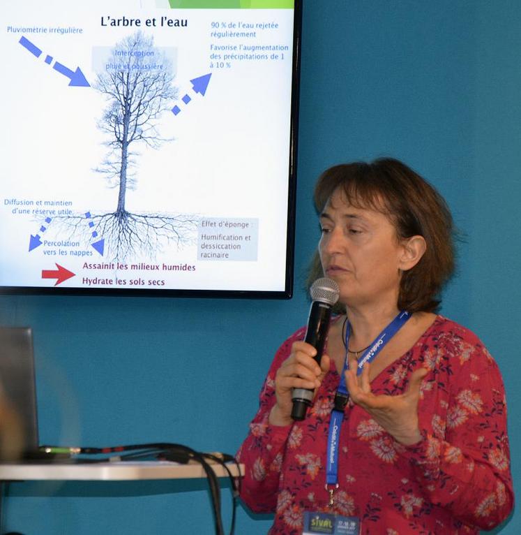 Nathalie Corroyer, de la Chambre régionale d’agriculture de Normandie, lors de la conférence intitulée “un projet sur les systèmes vergers-maraîchers” qui se déroulait jeudi 19 janvier au Sival.