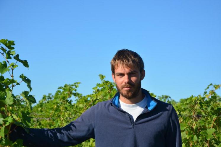 Paul Terrien, 26 ans, installé depuis 2013 à Cizay-la-Madeleine, en céréales et vigne.