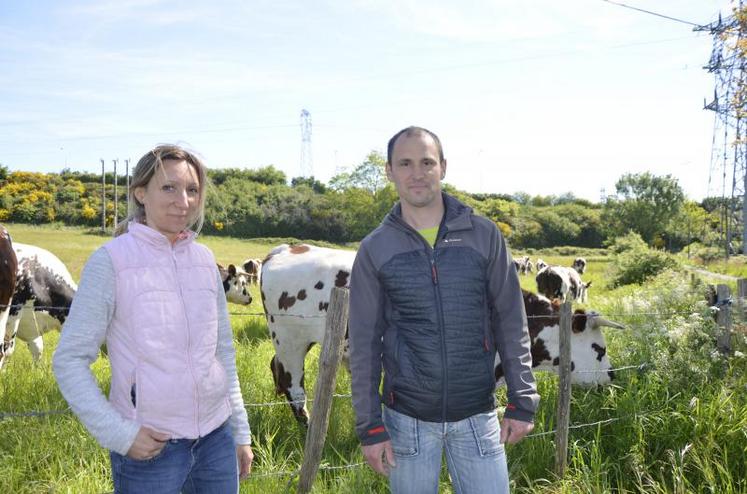 Nelly et Olivier Guinebretière élèvent des vaches et des bœufs à Cholet. L’exploitation est en conversion à l’agriculture biologique.
