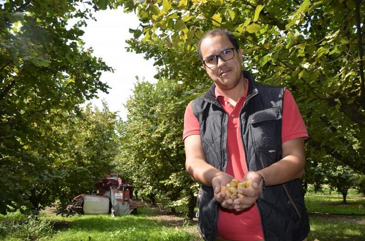 L'exploitation produit 60  à 65 tonnes de noisettes par an. Les trois quarts des fruits sont ramassés mécaniquement au sol, à l'aide d'une machine spécifique.