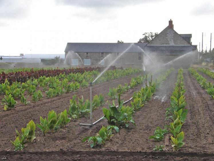 Les agriculteurs de chaque bassin vont recevoir une enquête pour connaître les besoins et les ressources en eau pour reproduire ce qui se met en place actuellement dans le bassin de l’Authion.