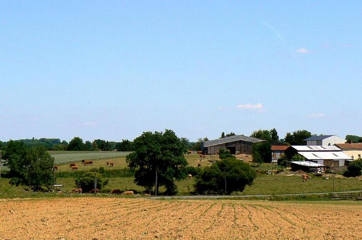 D’autres négociations se déroulent afin identifier les priorités de chaque région pour l’utilisation des fonds du 2e pilier.