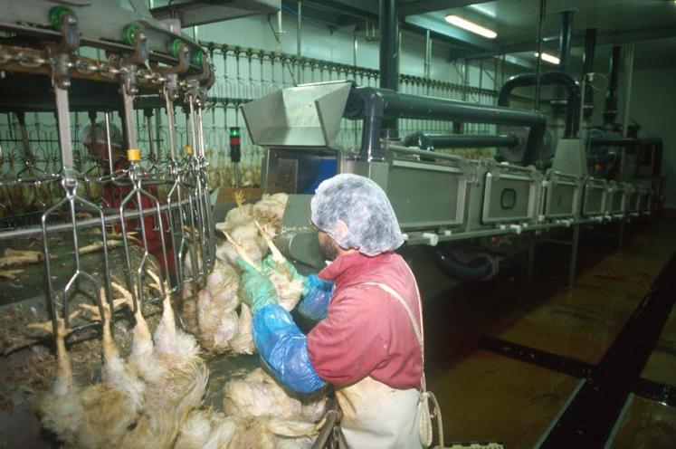 La volonté de Gastronome : trouver de nouveaux marchés, notamment du côté de la restauration hors foyer.