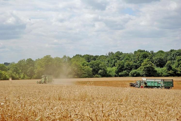 Les coûts des céréales sont en hausse dès le début de la commercialisation, de 50 €/t par rapport à 2011.