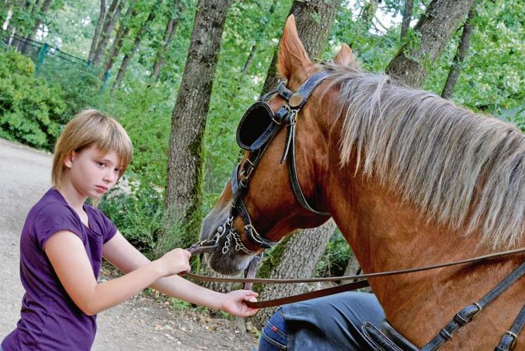 La filière cheval représente 180 000 emplois, 14 milliards d’euros de flux générés par les activités équestres, 34 870 élevages, pour un million d’équidés au total.