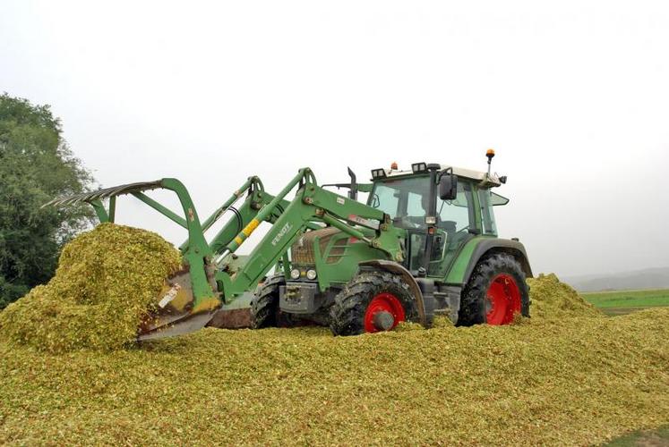 Chantier d'ensilage à Blaison-Gohier, mardi 4 septembre. Une récolte satisfaisante, en quantité et en qualité.