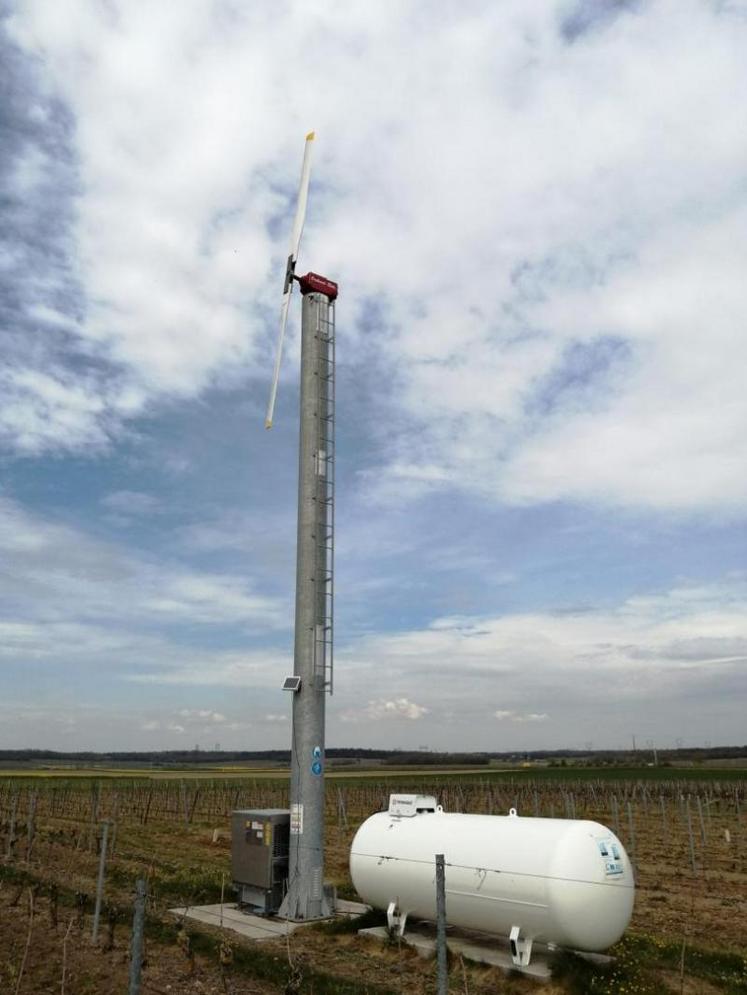 Les éoliennes ont été mises en route sur le domaine viticole de Guillaume Le Lay, à Saint-Cyr-en-Bourg.