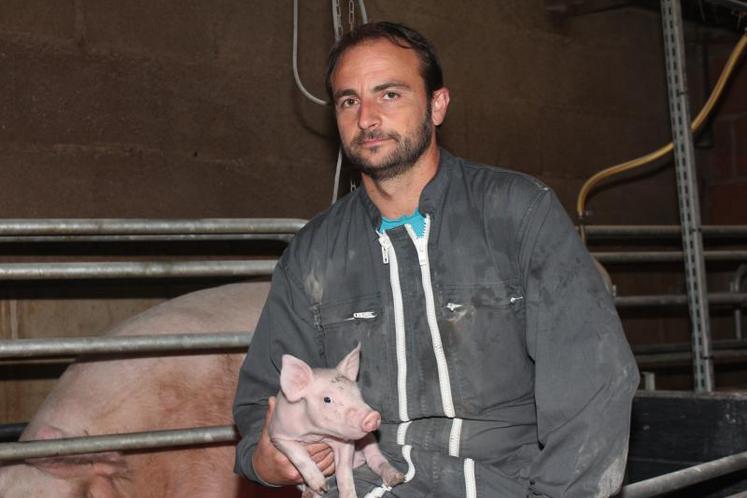 Mickaël Guilloux, secrétaire général de la Fédération nationale porcine.